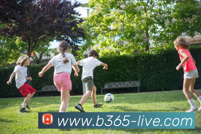 Bet365服务体系